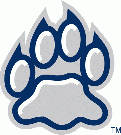 New Hampshire Wildcats 2000-Pres Alternate Logo v3 iron on transfers for T-shirts